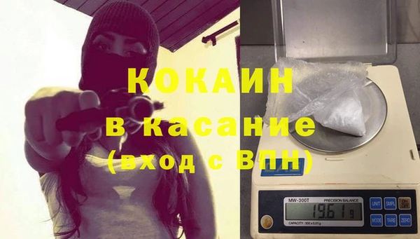 шишки Вуктыл