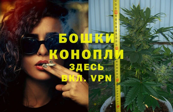 шишки Вуктыл
