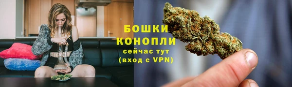 шишки Вуктыл