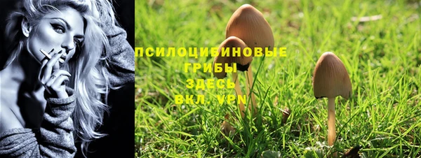 меф Воткинск