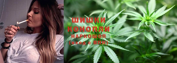 шишки Вуктыл