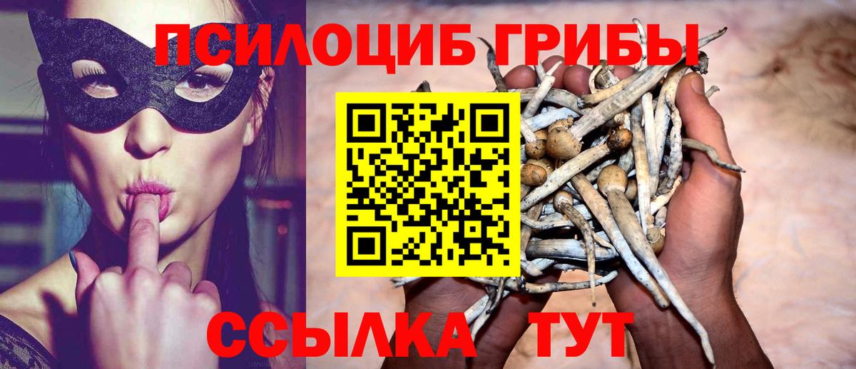 Галлюциногенные грибы ЛСД  Вход с VPN  Унеча 