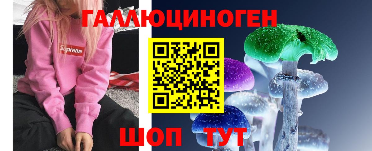 Галлюциногенные грибы Psilocybe Унеча