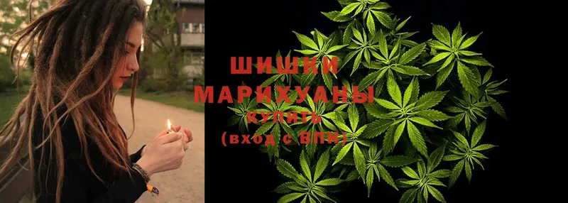 blacksprut сайт  Унеча  Марихуана OG Kush 